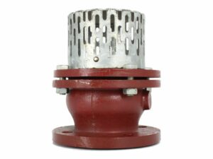 Flanged Foot Valve, 01-655