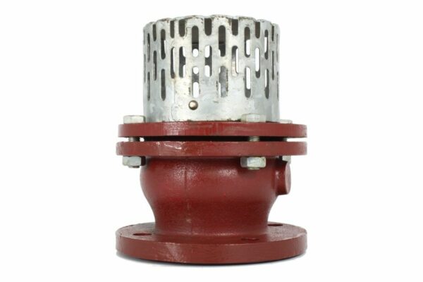 Flanged Foot Valve, 01-655