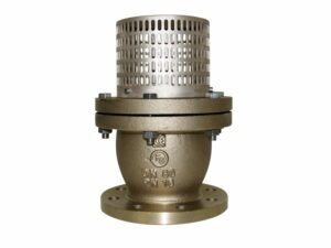 Flanged Foot Valve, 01-656RG5