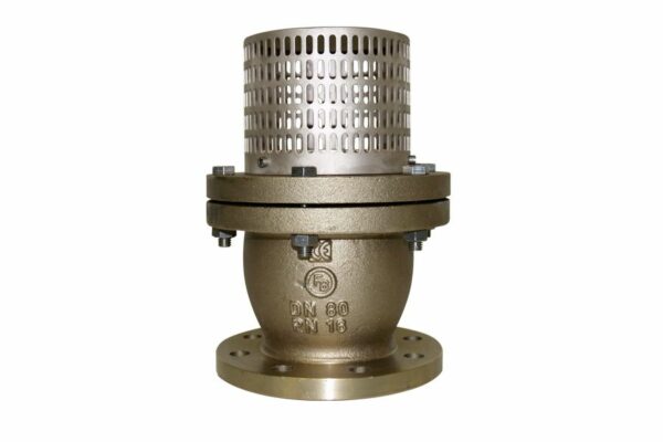 Flanged Foot Valve, 01-656RG5