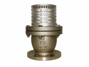Flanged Foot Valve, 01-656RG5-E