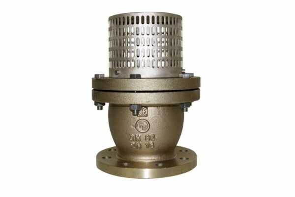 Flanged Foot Valve, 01-656RG5-E