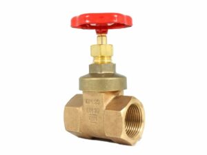 Threaded Gate Valve, 02-001