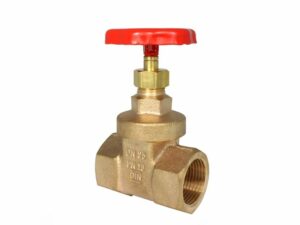 Threaded Gate Valve, 02-003