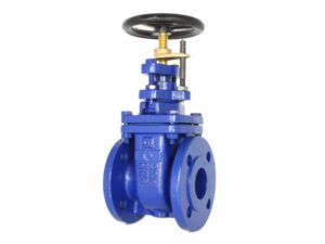Flange wedge gate valve, 02-025