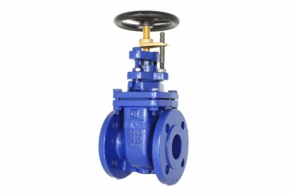 Flange wedge gate valve, 02-025