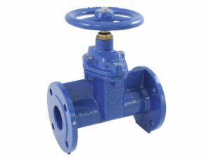 Flange wedge gate valve oval type, 02-046