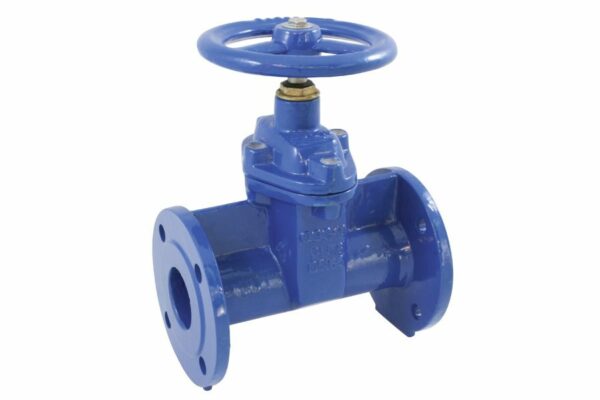 Flange wedge gate valve oval type, 02-046