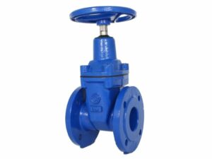 Flange wedge gate valve, 02-047