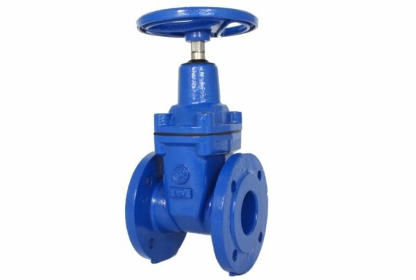 Flange wedge gate valve, 02-048