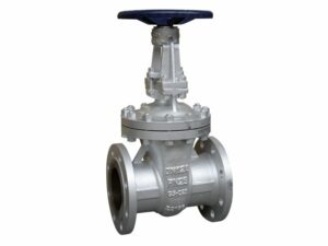 Flanged Wedge Gate Valve, 02-064