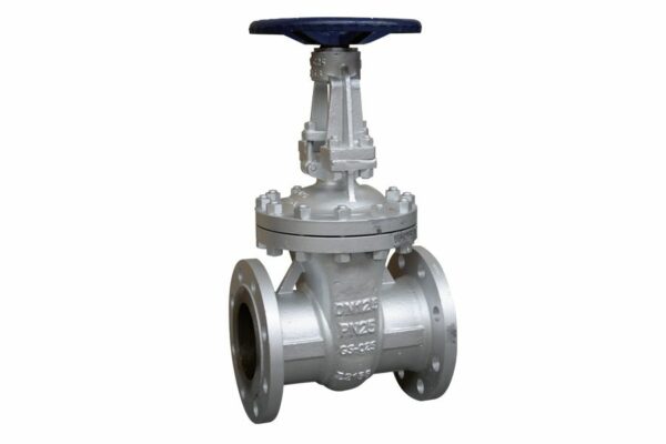 Flanged Wedge Gate Valve, 02-064