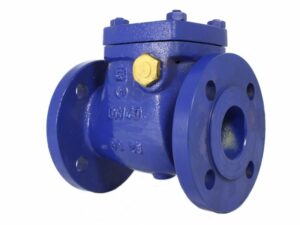 Flanged Swing Check Valve, 04-002.1