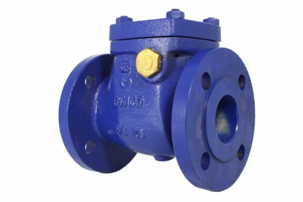 Flanged Swing Check Valve, 04-002.2