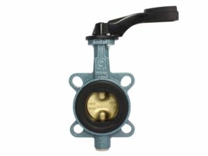 Butterfly Valve Wafer Type, 04-050N
