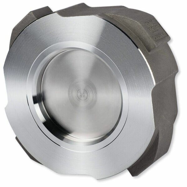 Gestra DISCO Non-Return Valve, RK86