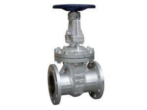 Oval Gate Valves