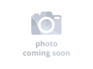 Double Swing Check Valves, 04-233E