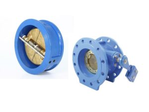 Swing Check Valves