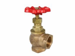 Threaded Globe Valve, 01-005