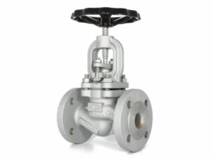 Flanged Globe Valve, 01-393