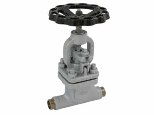 Globe Valve with Welding Ends, 01-446PN63