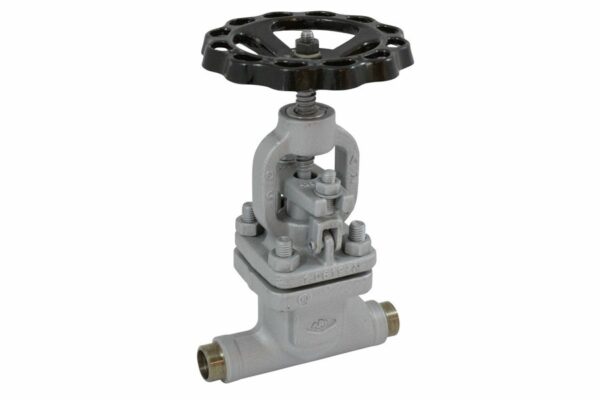 Globe Valve with Welding Ends, 01-446PN63