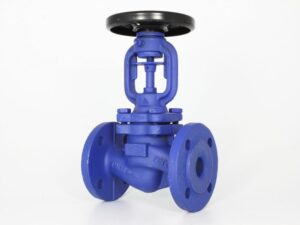 Flanged Globe Valve with Bellow, 01-467