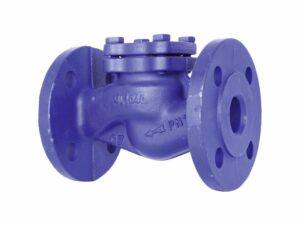 Flanged Check Valve, 01-705
