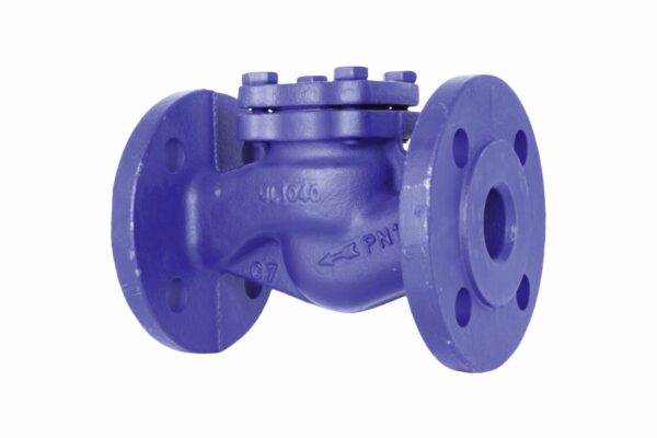 Flanged Check Valve, 01-705