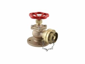Fire Globe Valve (Hose Connection Valve), 06-003