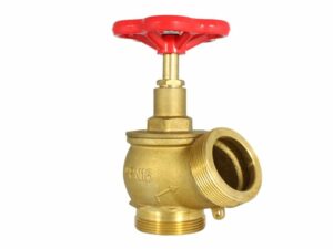 Fire Globe Valve 30° (Hose Connection Valve), 06-005-30